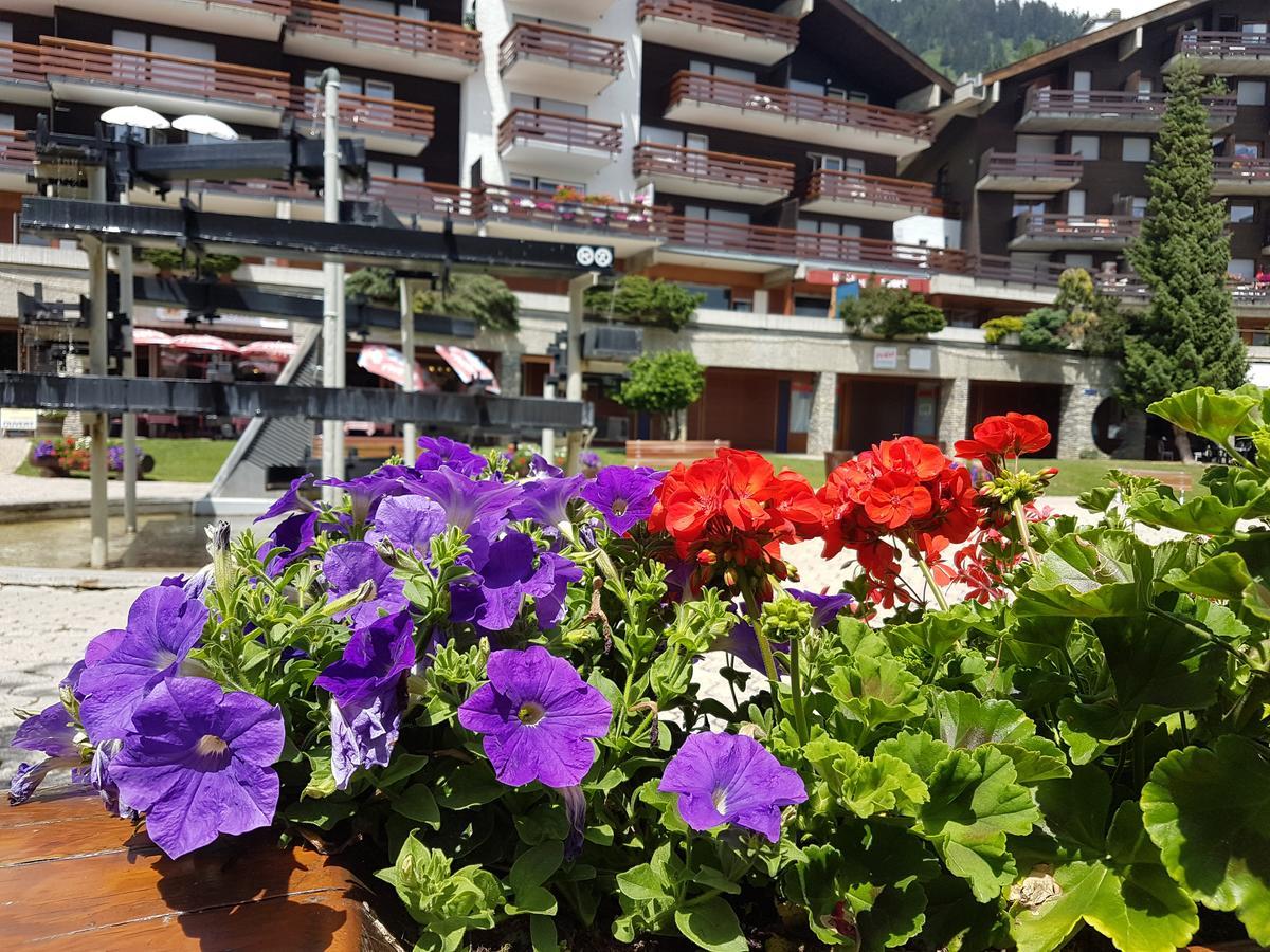 Holidays Groupes Anzère Zewnętrze zdjęcie