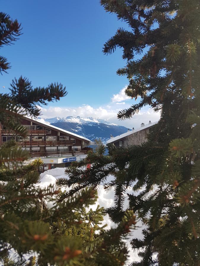 Holidays Groupes Anzère Zewnętrze zdjęcie
